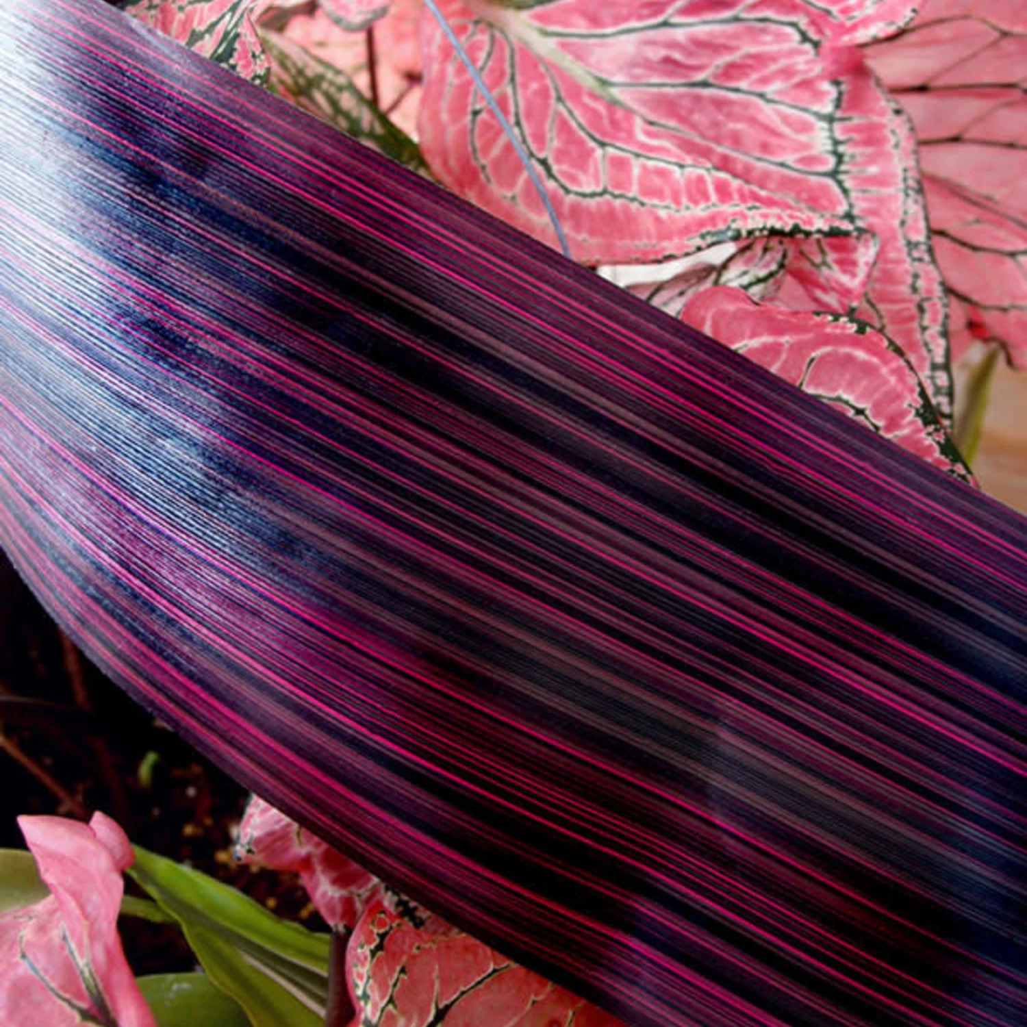 4’’ X 50YDS ASPIDISTRA PURPLE 1 4’’ X 50YDS ASPIDISTRA PURPLE