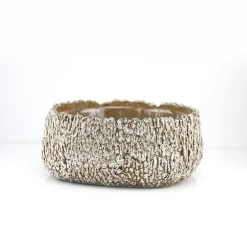 4.5”H X 10”D Igneous Collection PLANTER