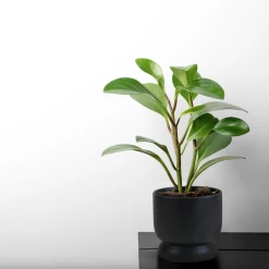 5.75”H X 6” BLACK CERAMIC MODERN COMPOTE PEDESTAL BOWL -Home Decor Store 575h x 6 black ceramic modern compote pedestal bow 2