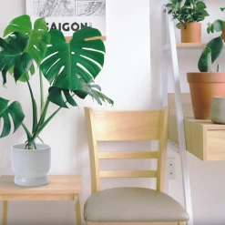 5.75”H X 6” WHITE CERAMIC MODERN COMPOTE PEDESTAL BOWL 6 5.75”H X 6” WHITE CERAMIC MODERN COMPOTE PEDESTAL BOWL -Home Decor Store 575h x 6 white ceramic modern compote pedestal bow 2