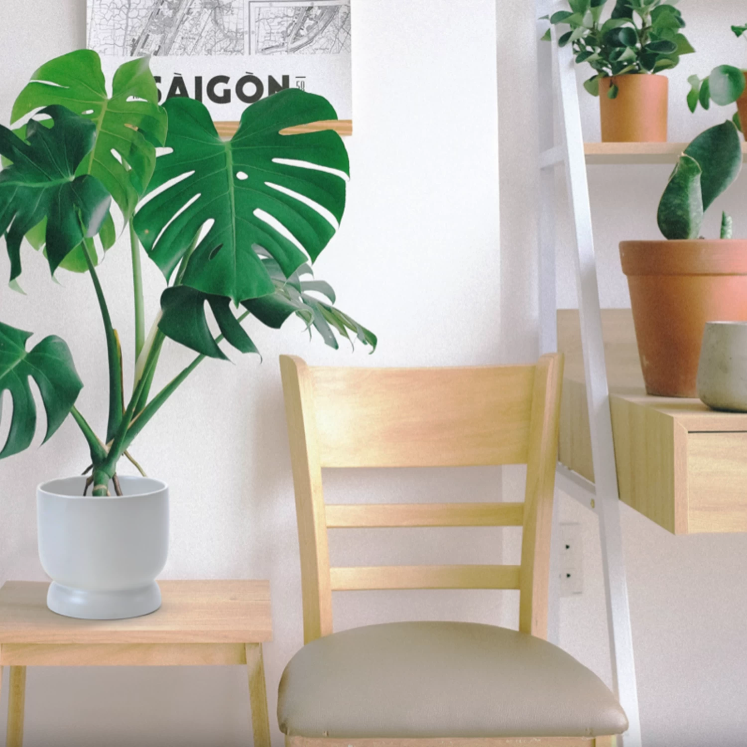 5.75”H X 6” WHITE CERAMIC MODERN COMPOTE PEDESTAL BOWL 3 5.75”H X 6” WHITE CERAMIC MODERN COMPOTE PEDESTAL BOWL - Image 3