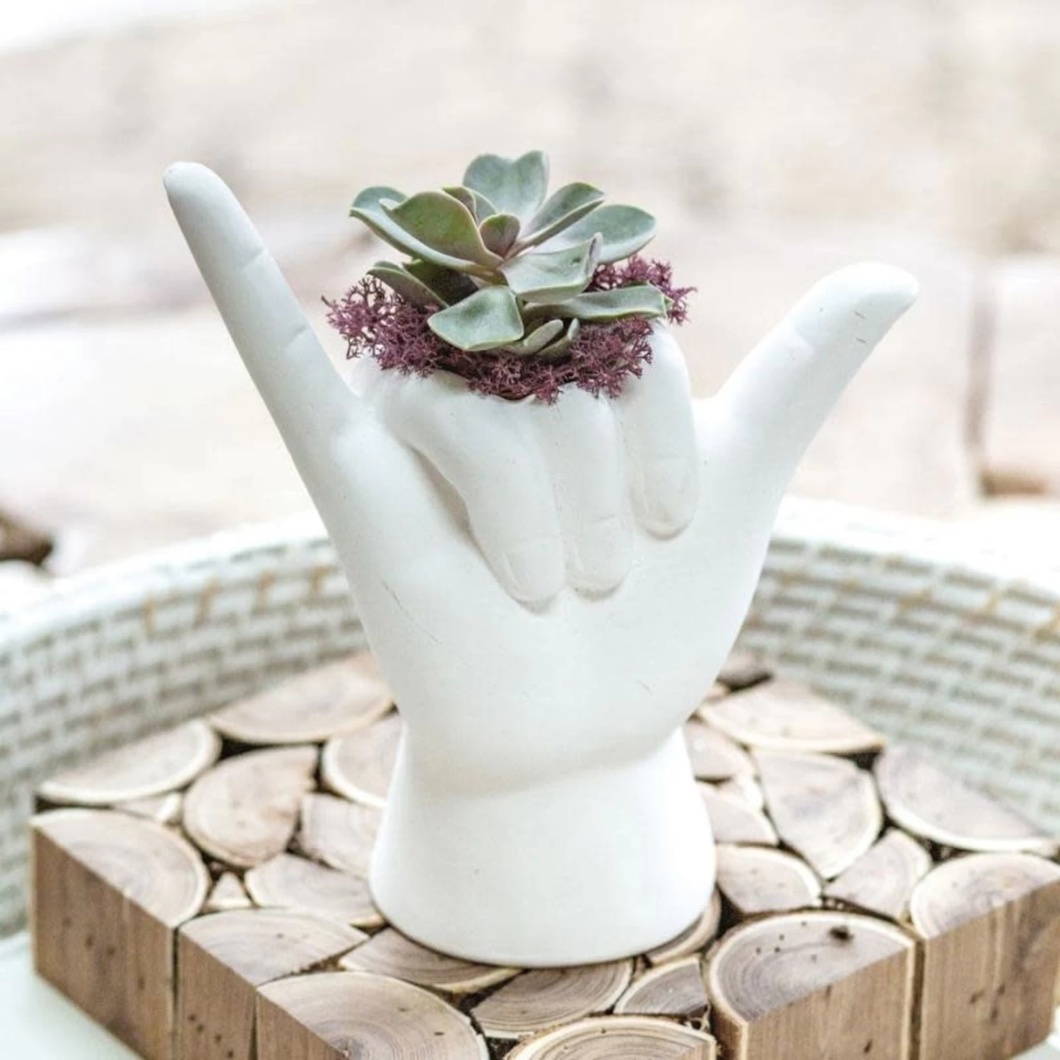 7.25” X 7.75” HANG LOOSE PLANTER - MATTE WHITE 2 7.25” X 7.75” HANG LOOSE PLANTER - MATTE WHITE - Image 2