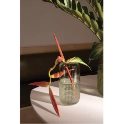 10”H X 5” CLEREL GLASS VASE (AD) -Home Decor Store accent decor 10h x 5 clerel glass vase ad 2