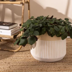 11.5”H X 13.5” WHITE/TAN CERAMIC AVELINE POT -Home Decor Store accent decor 115h x 135 white tan ceramic aveline 5