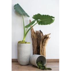 Home Decor Store -Home Decor Store accent decor 20h x 1375 grey fiber glass seaport p 1