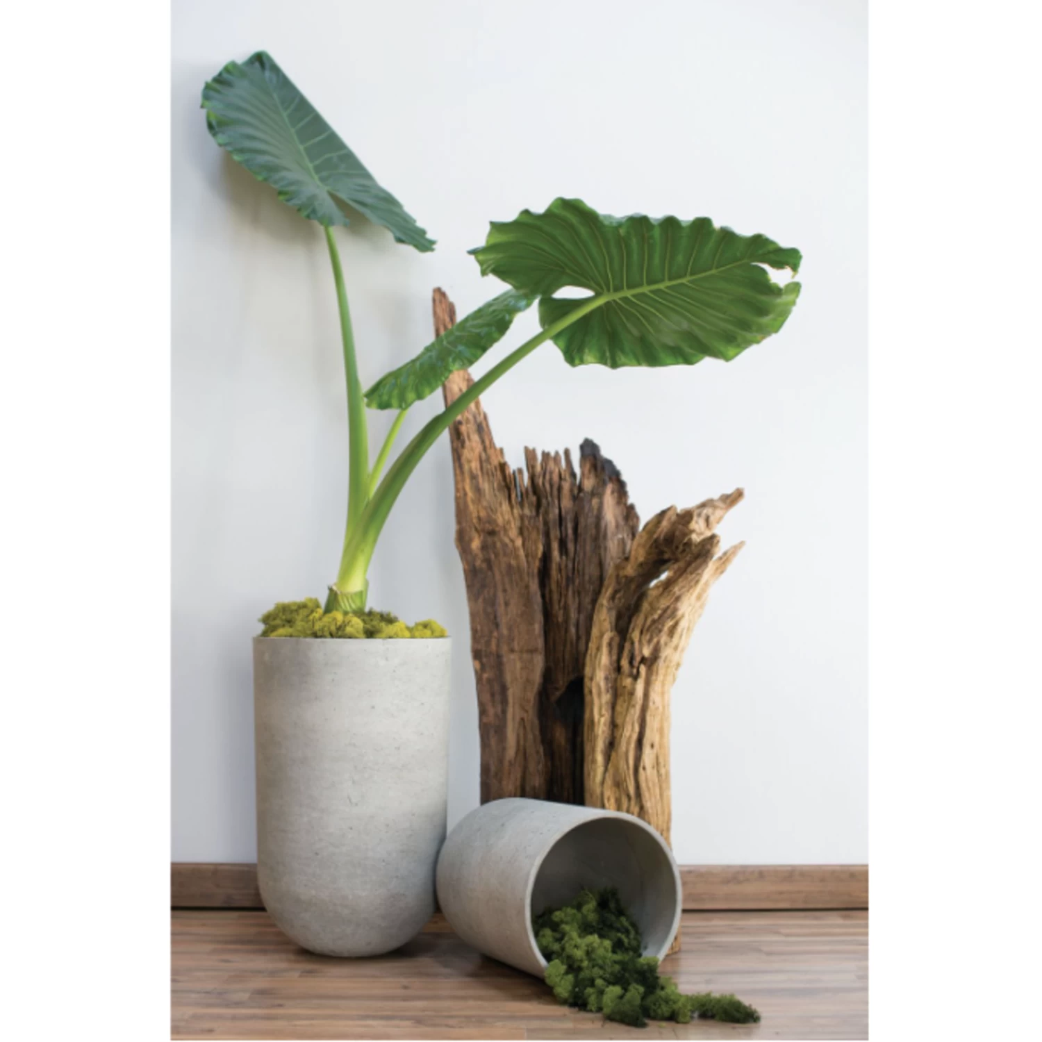 20”H X 13.75” GREY FIBER GLASS SEAPORT PLANTER 2 20”H X 13.75” GREY FIBER GLASS SEAPORT PLANTER - Image 2