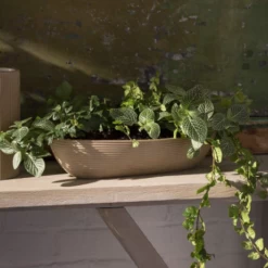 3.75"H X 14"LONG X 5.5"W TAN/BROWN LONG AND LOW MORRIGAN TROUGH 6 3.75"H X 14"LONG X 5.5"W TAN/BROWN LONG AND LOW MORRIGAN TROUGH -Home Decor Store accent decor 375h x 14long x 55w tan brown long an 2