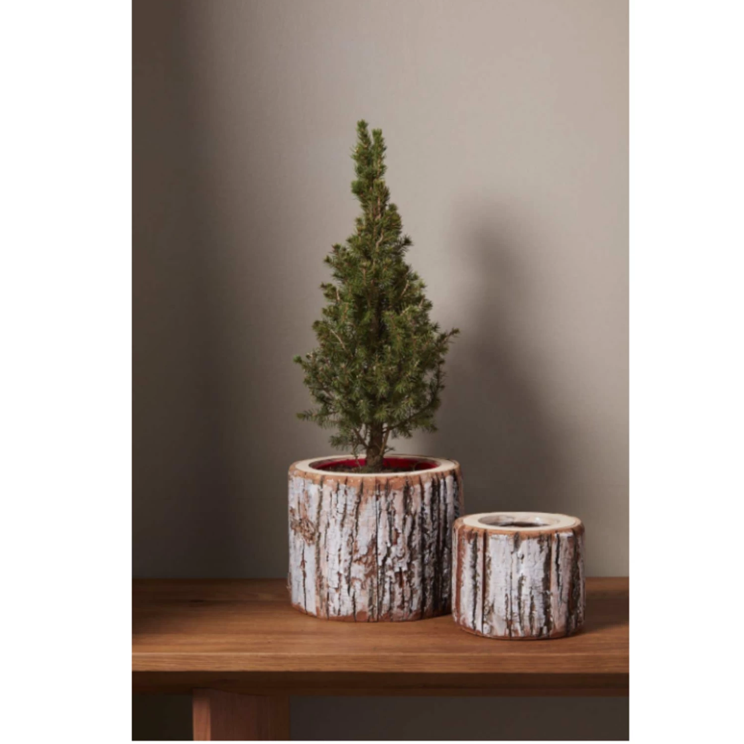 5.5"h X 6.5" WOOD PINEFROST POT 2 5.5"h X 6.5" WOOD PINEFROST POT - Image 2