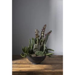 5.75”H X 12” BLACK CERAMIC COMPOTE FORTIS BOWL -Home Decor Store accent decor 575h x 12 black ceramic compote forti 2