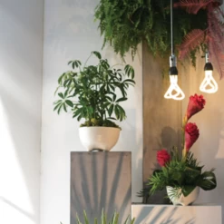 5”H X 9” WHITE CERAMIC TALIAH BOWL -Home Decor Store accent decor 5h x 9 white ceramic taliah bowl 2