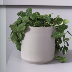 6.75"H X 7.5" GREY KENDALL POT COLLECTION (AD) -Home Decor Store accent decor 675h x 75 grey kendall pot collection 2