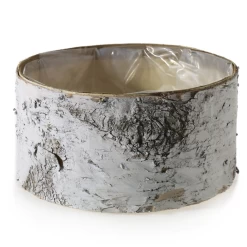 6”h X 12” WHITE BIRCH CYLINDER