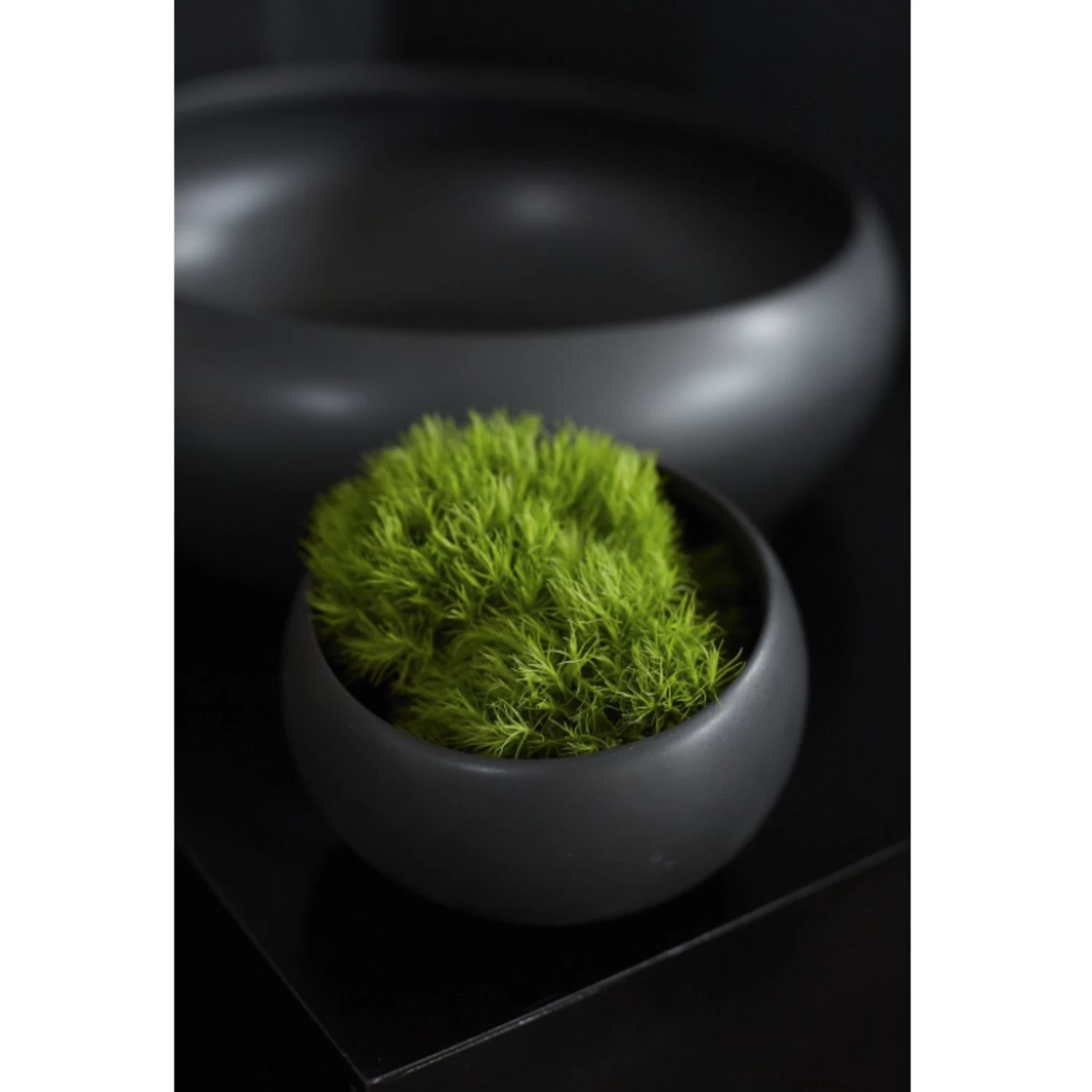 7.5"x 5.25”H BLACK Simply Collection ANGLED BOWL (AD) 2 7.5"x 5.25”H BLACK Simply Collection ANGLED BOWL (AD) - Image 2