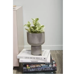 8.75”H X 6.5” GREY CONCRETE FRESNO PLANTER -Home Decor Store accent decor 875h x 65 grey concrete fresno plante 4