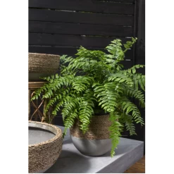 9.25”h X 9” CONCRETE REED POT WITH NATURAL ROPE -Home Decor Store accent decor 925h x 9 concrete reed pot with natur 2