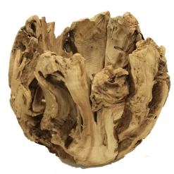 Natural Wood Pot H-16"" XD-18""