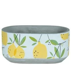 OVL LEMON DSN CMT 8.25X 4.25''