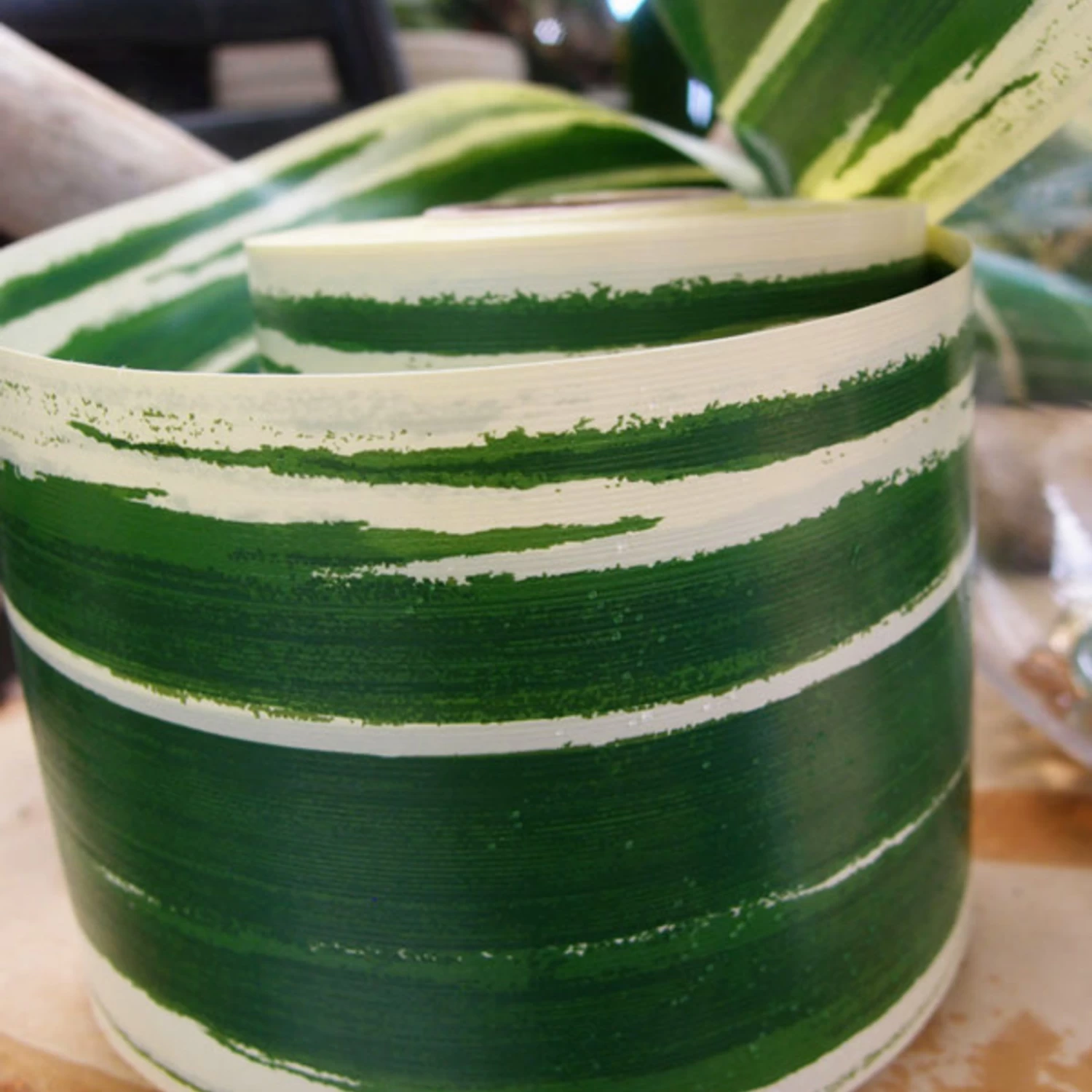 RIBBON LEAF ASPIDISTRA 4 1/4’’ X 50 YDS/ IVORY 1 RIBBON LEAF ASPIDISTRA 4 1/4’’ X 50 YDS/ IVORY