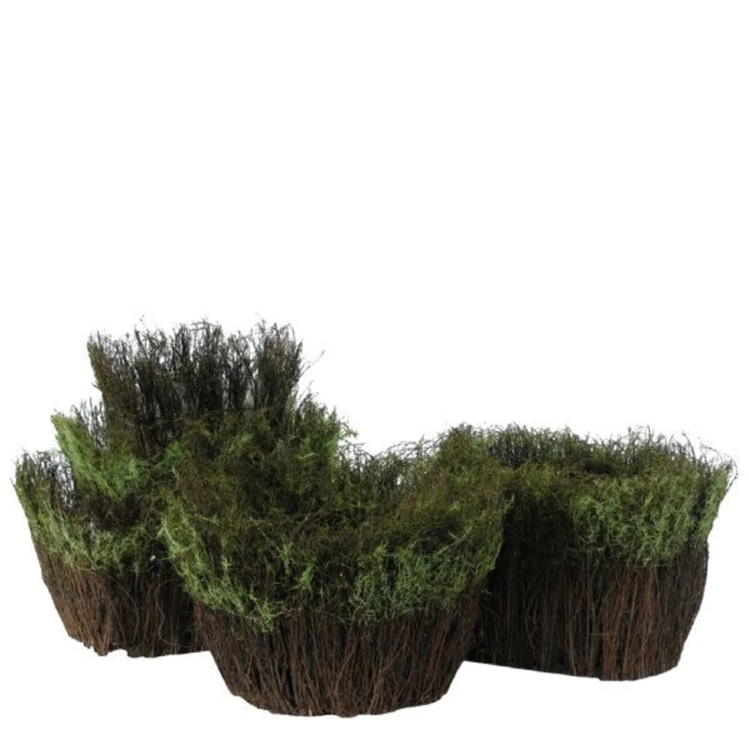 SET OF 3 VINE AND GREEN MOSS PLANTERS, Reg $27.99 1 SET OF 3 VINE AND GREEN MOSS PLANTERS, Reg $27.99